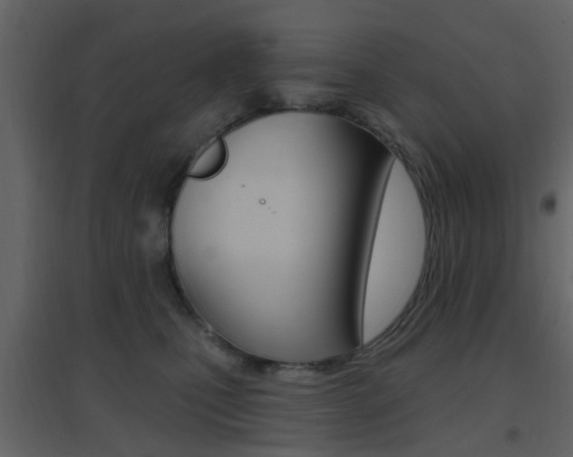 X0000096690471200802051041
