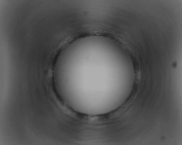 X0000096690472200802051041