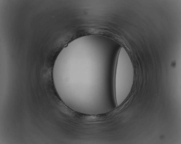 X0000096690473200802051041