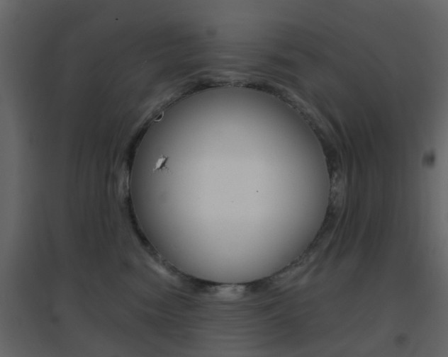 X0000096690474200802051041