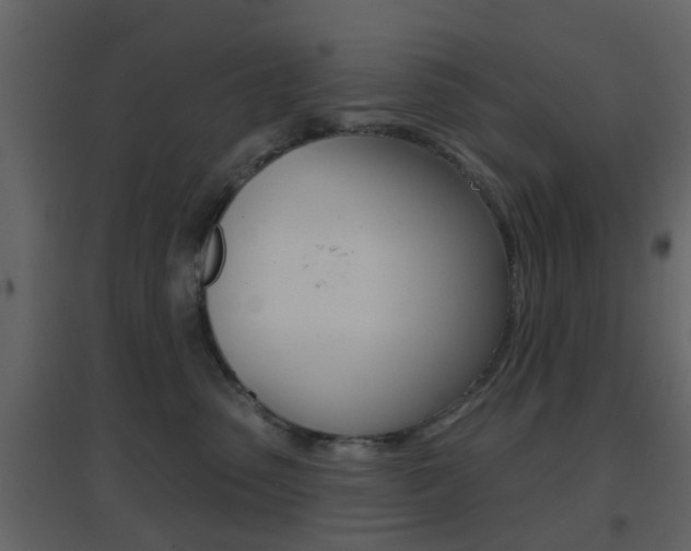X0000096690475200802051041