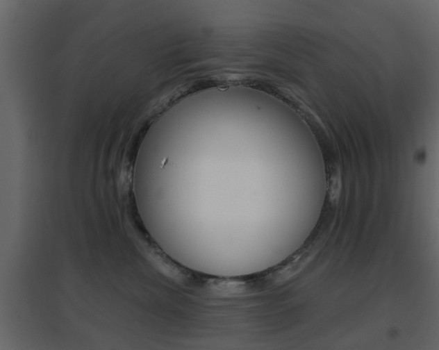 X0000096690476200802051041