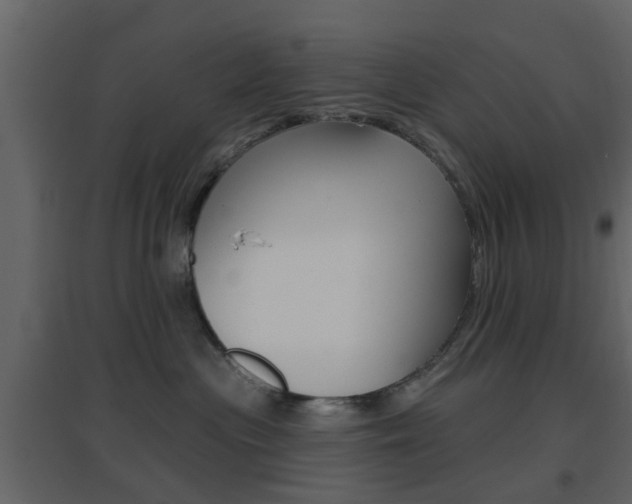 X0000096690477200802051041