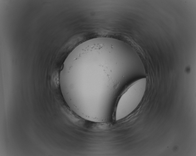 X0000096690479200802051041
