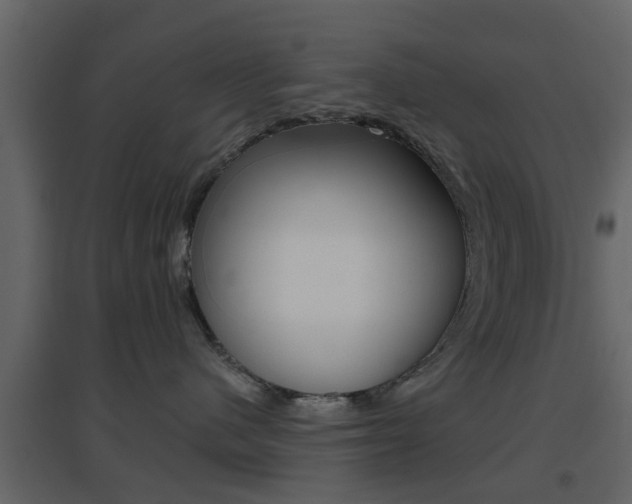 X0000096690480200802051041