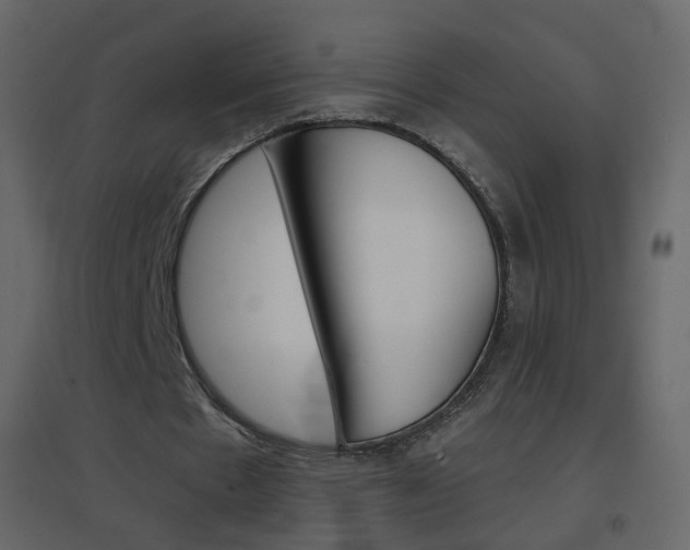X0000096690481200802051041
