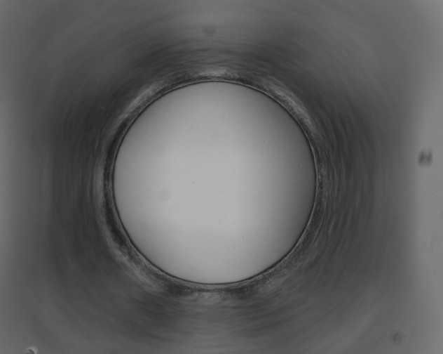 X0000096690482200802051041