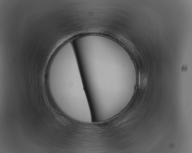 X0000096690483200802051041