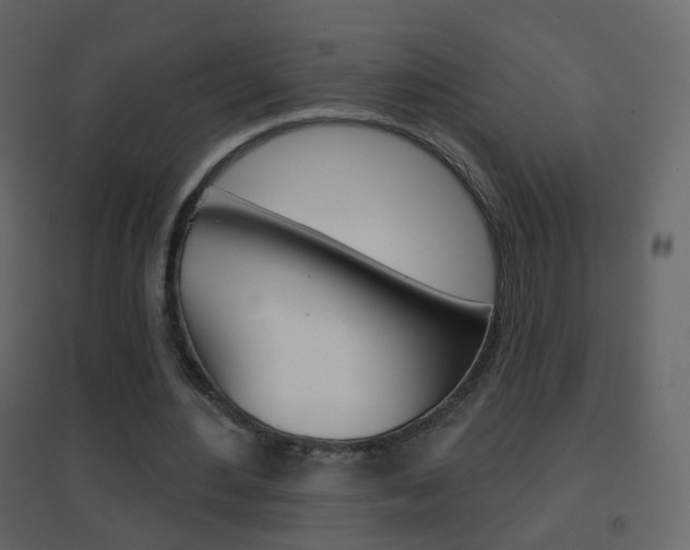 X0000096690484200802051041