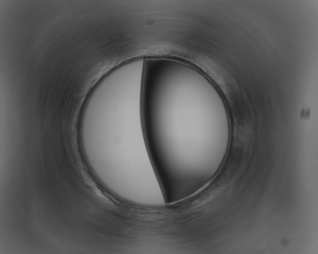 X0000096690485200802051041