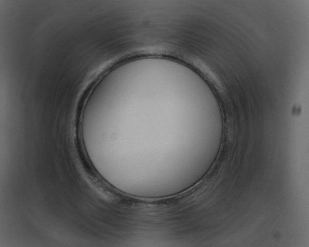X0000096690486200802051041