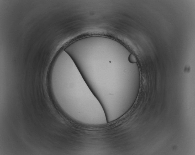 X0000096690487200802051041