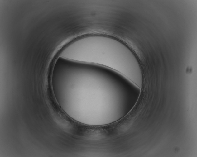 X0000096690488200802051040