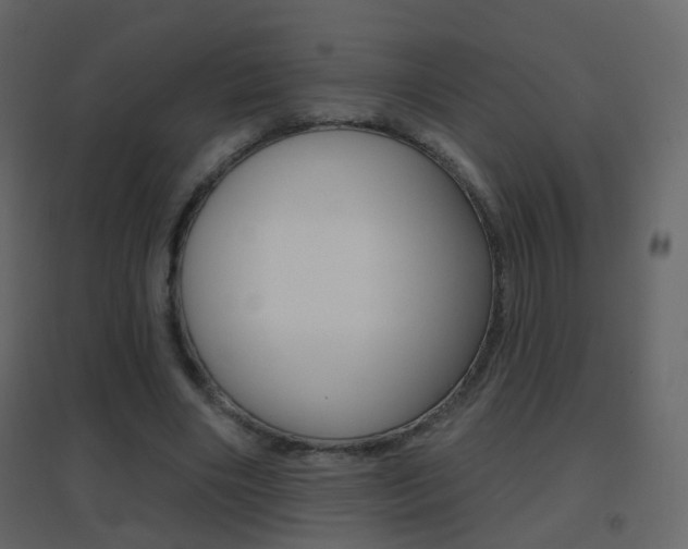 X0000096690490200802051040