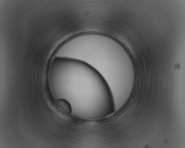 X0000096690492200802051040