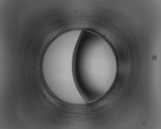 X0000096690493200802051040