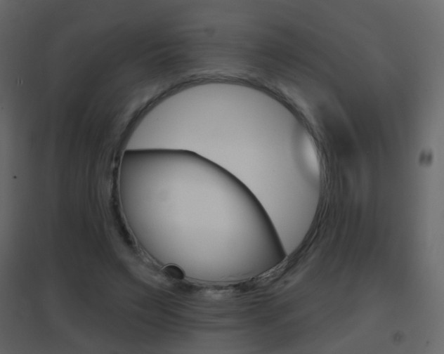 X0000096690495200802051040