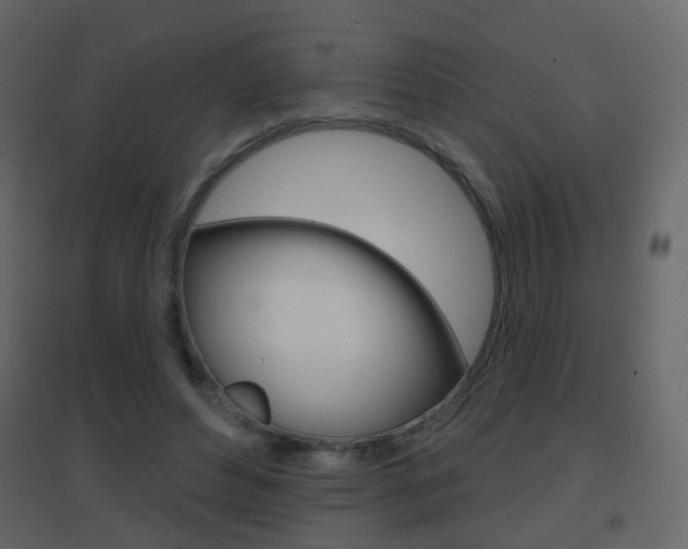 X0000096690496200802051040
