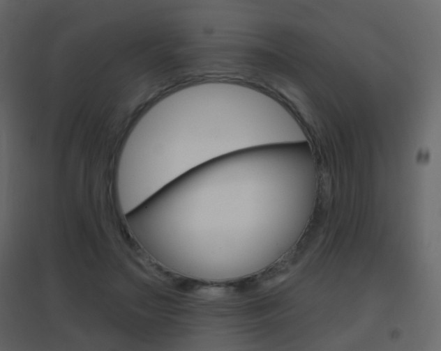 X0000096690499200802051040
