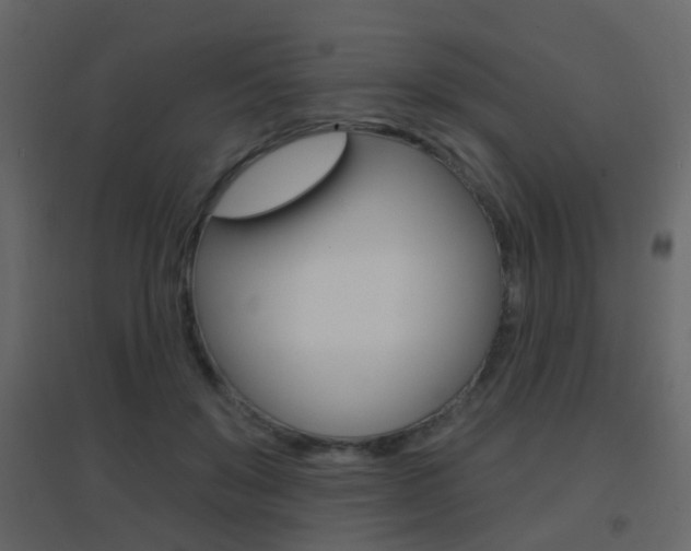 X0000096690503200802051040