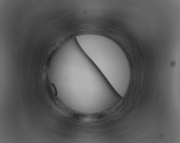 X0000096690504200802051040
