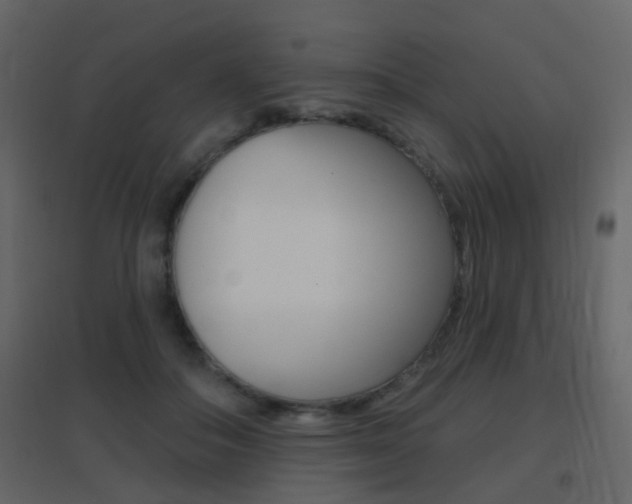 X0000096690506200802051040
