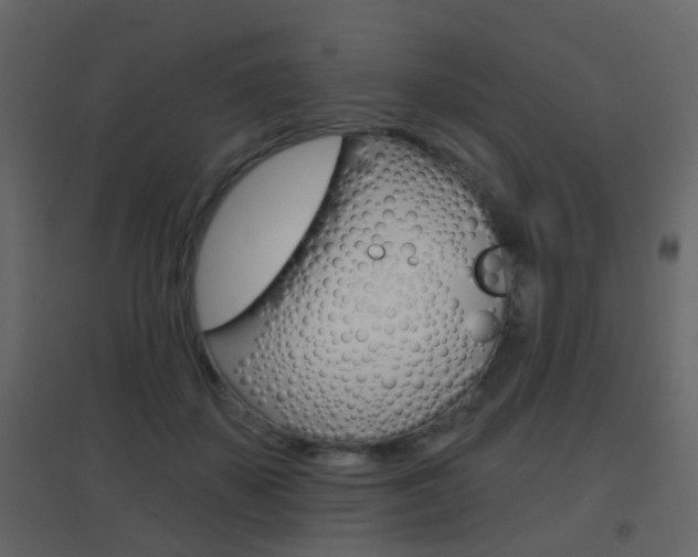X0000096690507200802051040