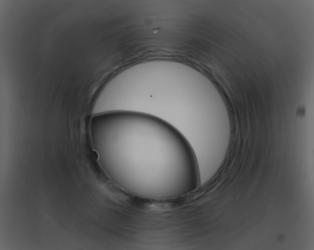X0000096690508200802051040