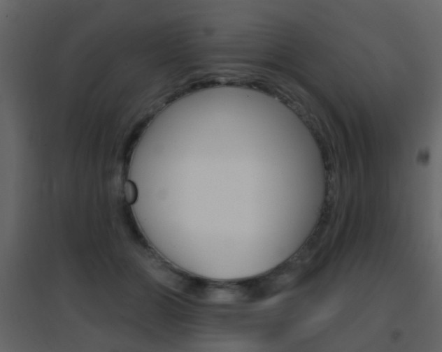 X0000096690510200802051040