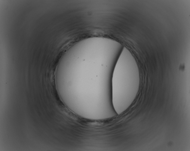 X0000096690511200802051040
