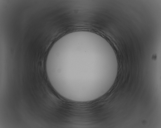 X0000096690512200802051040