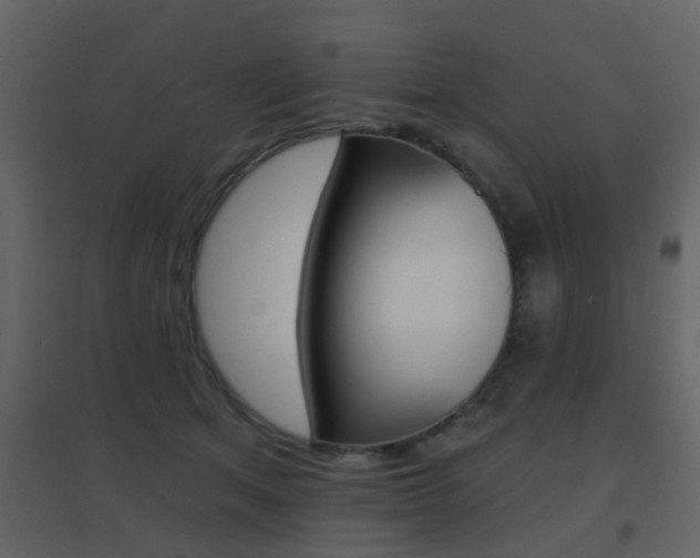X0000096690513200802051040