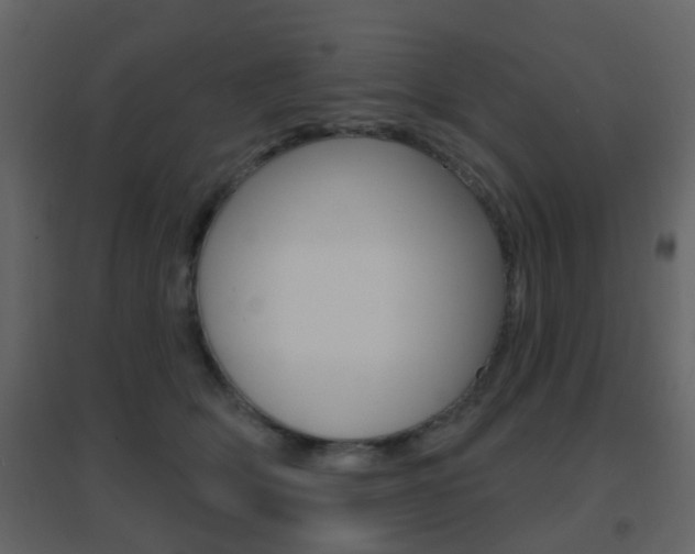 X0000096690514200802051040