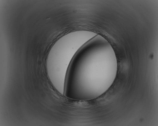 X0000096690517200802051040