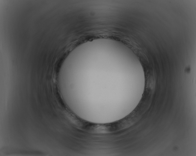 X0000096690518200802051040