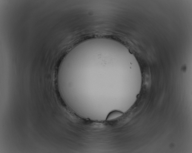 X0000096690519200802051040