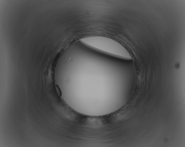 X0000096690520200802051040