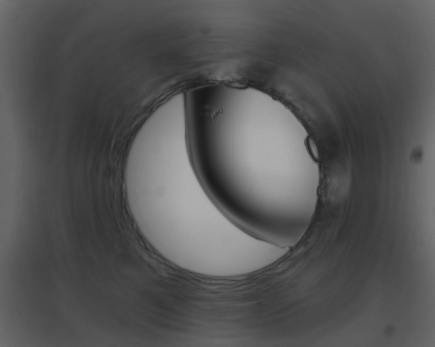 X0000096690521200802051040
