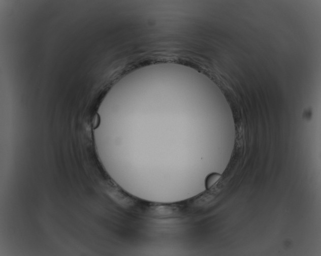 X0000096690522200802051040