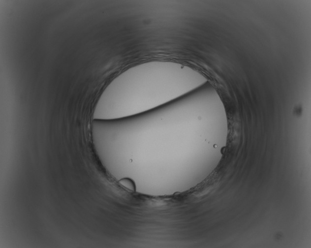 X0000096690523200802051040
