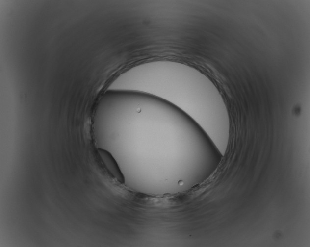 X0000096690524200802051040