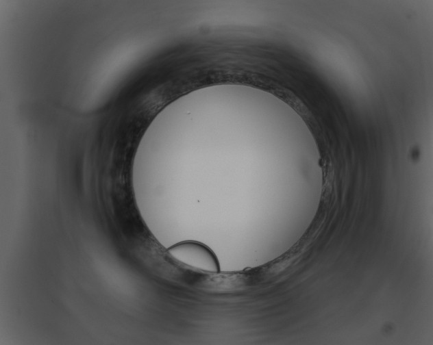 X0000096690526200802051040