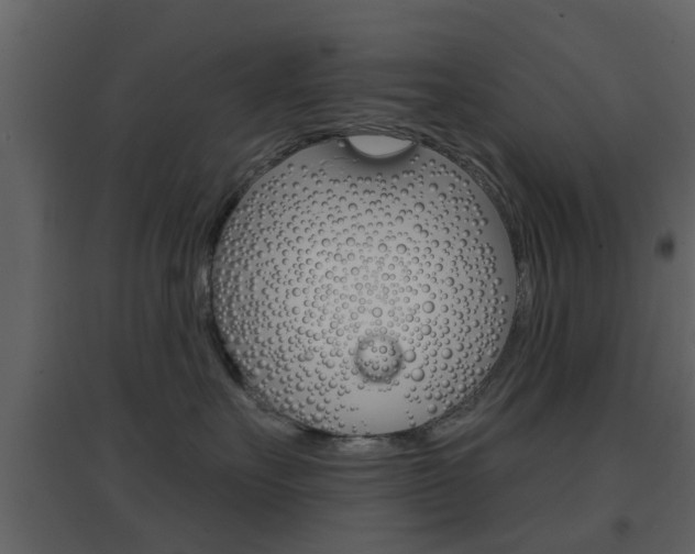 X0000096690527200802051040