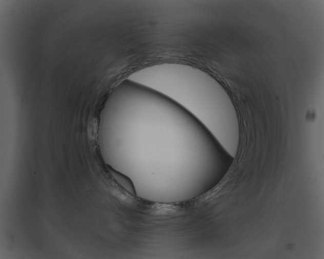 X0000096690528200802051040