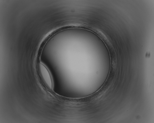 X0000096690532200802051039