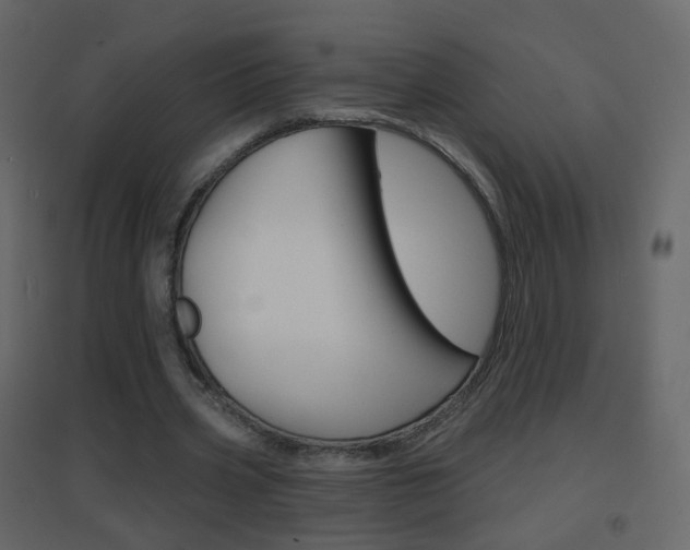 X0000096690533200802051039