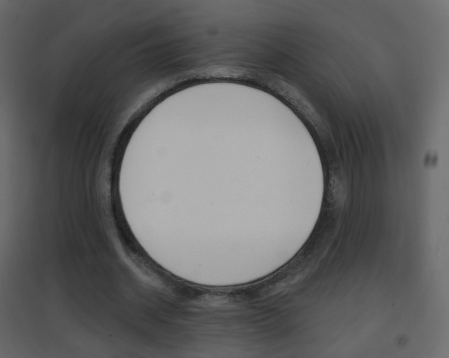 X0000096690534200802051039