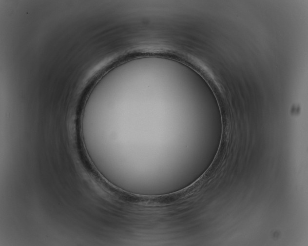 X0000096690535200802051039