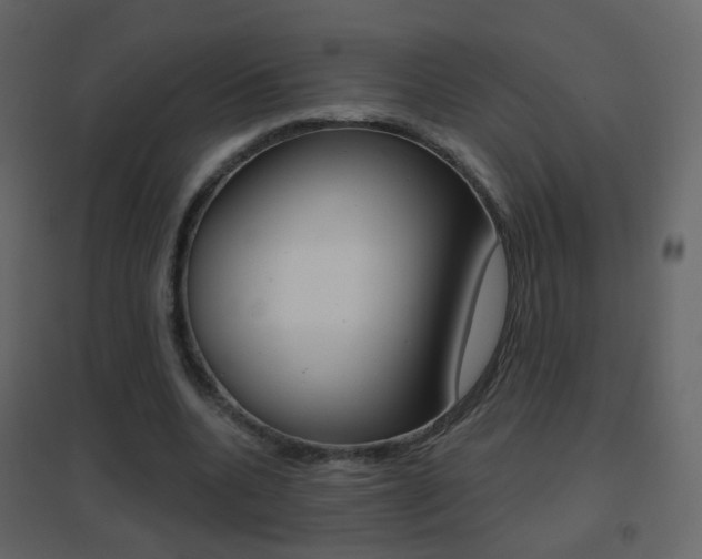 X0000096690536200802051039