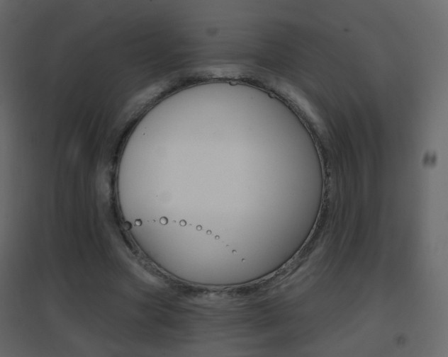 X0000096690537200802051039